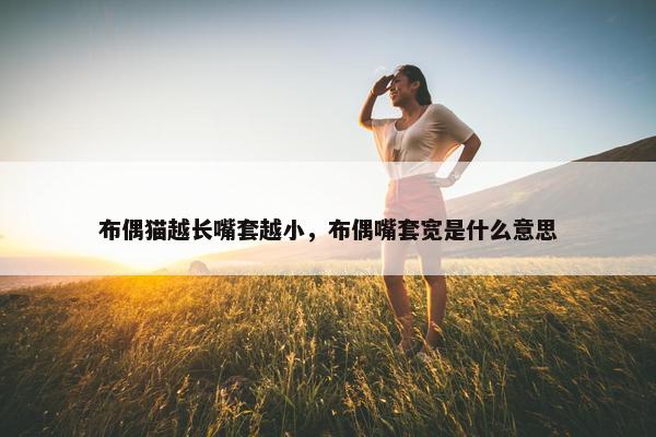 布偶猫越长嘴套越小，布偶嘴套宽是什么意思