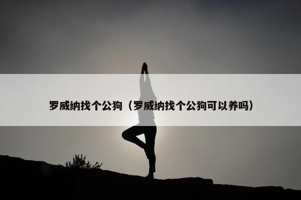 罗威纳找个公狗（罗威纳找个公狗可以养吗）