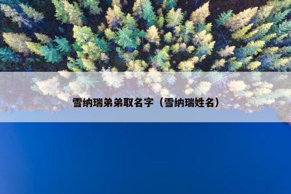 雪纳瑞弟弟取名字（雪纳瑞姓名）
