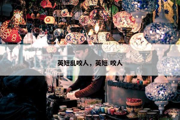 英短乱咬人，英短 咬人