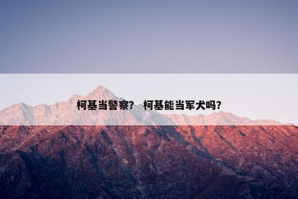 柯基当警察？ 柯基能当军犬吗？