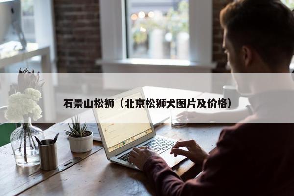 石景山松狮（北京松狮犬图片及价格）