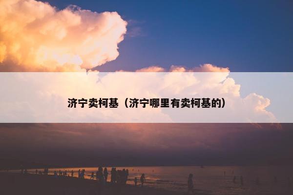 济宁卖柯基（济宁哪里有卖柯基的）