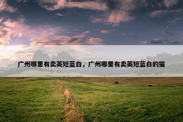 广州哪里有卖英短蓝白，广州哪里有卖英短蓝白的猫