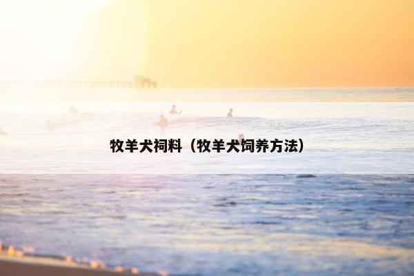 牧羊犬祠料（牧羊犬饲养方法）