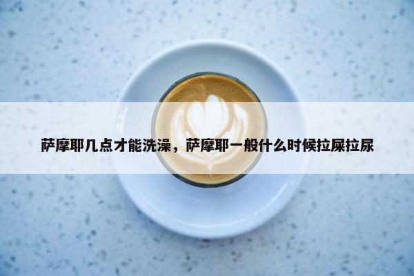 萨摩耶几点才能洗澡，萨摩耶一般什么时候拉屎拉尿