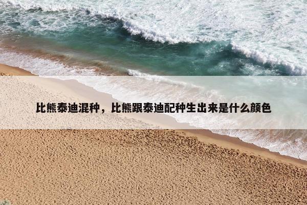 比熊泰迪混种，比熊跟泰迪配种生出来是什么颜色