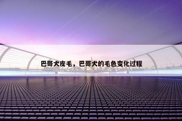 巴哥犬皮毛，巴哥犬的毛色变化过程