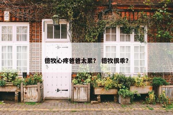 德牧心疼爸爸太累？ 德牧很乖？