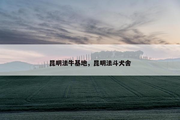 昆明法牛基地，昆明法斗犬舍