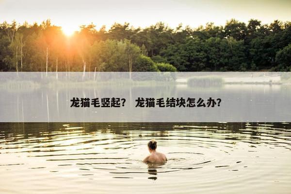 龙猫毛竖起？ 龙猫毛结块怎么办？