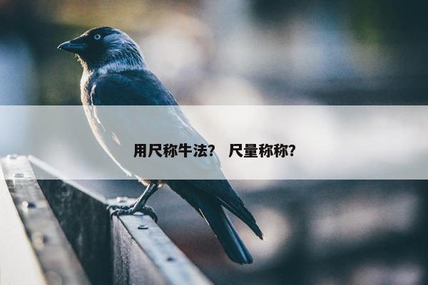 用尺称牛法？ 尺量称称？