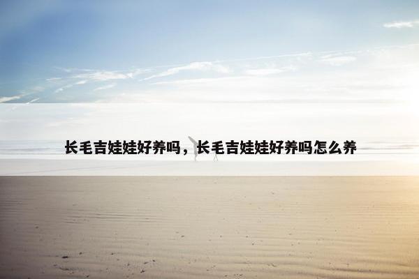 长毛吉娃娃好养吗，长毛吉娃娃好养吗怎么养