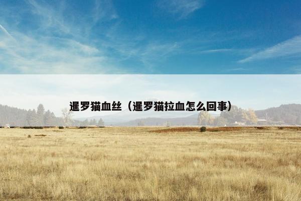 暹罗猫血丝（暹罗猫拉血怎么回事）