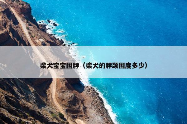柴犬宝宝围脖（柴犬的脖颈围度多少）