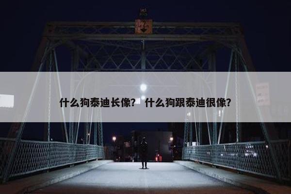 什么狗泰迪长像？ 什么狗跟泰迪很像？