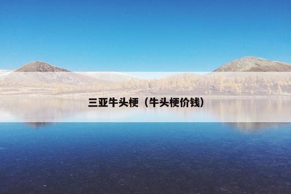 三亚牛头梗（牛头梗价钱）
