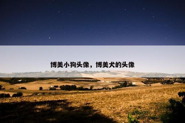 博美小狗头像，博美犬的头像