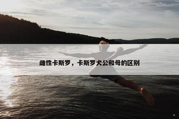 雌性卡斯罗，卡斯罗犬公和母的区别