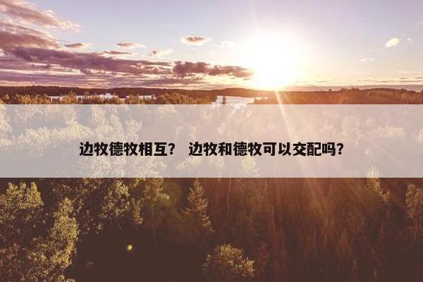 边牧德牧相互？ 边牧和德牧可以交配吗？