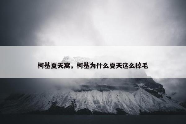 柯基夏天窝，柯基为什么夏天这么掉毛