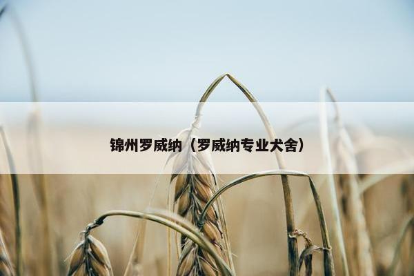 锦州罗威纳（罗威纳专业犬舍）