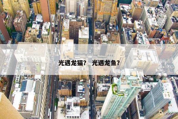 光遇龙猫？ 光遇龙鱼？