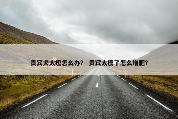 贵宾犬太瘦怎么办？ 贵宾太瘦了怎么增肥？