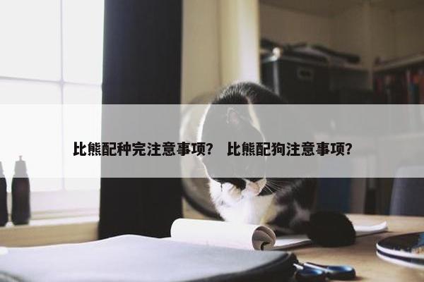 比熊配种完注意事项？ 比熊配狗注意事项？