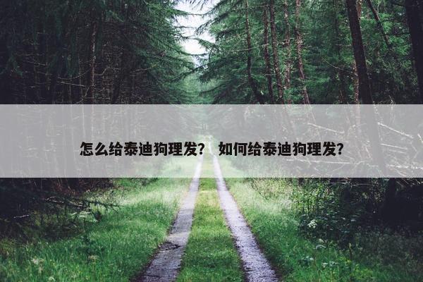 怎么给泰迪狗理发？ 如何给泰迪狗理发？