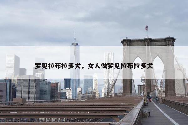 梦见拉布拉多犬，女人做梦见拉布拉多犬