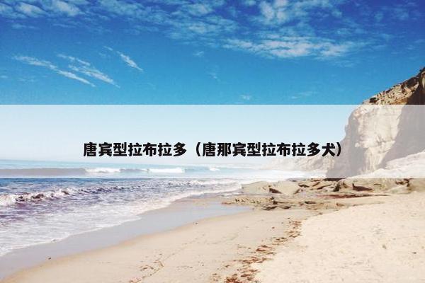 唐宾型拉布拉多（唐那宾型拉布拉多犬）
