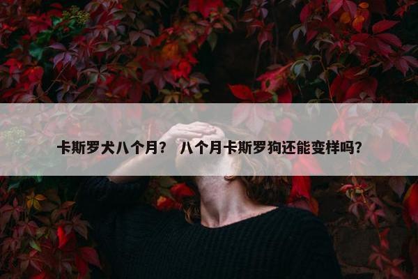 卡斯罗犬八个月？ 八个月卡斯罗狗还能变样吗？