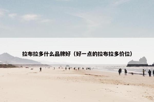拉布拉多什么品牌好（好一点的拉布拉多价位）