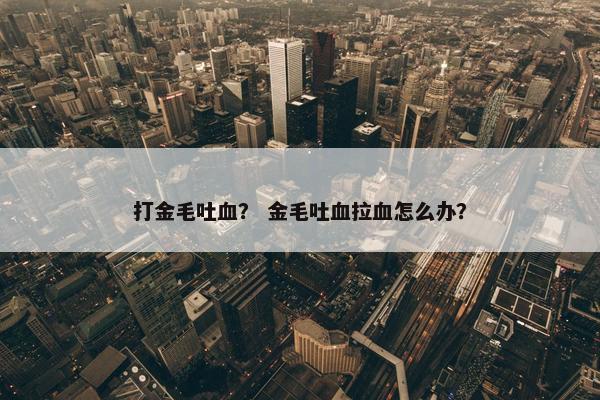 打金毛吐血？ 金毛吐血拉血怎么办？