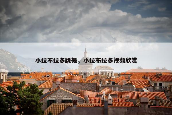 小拉不拉多跳舞，小拉布拉多视频欣赏