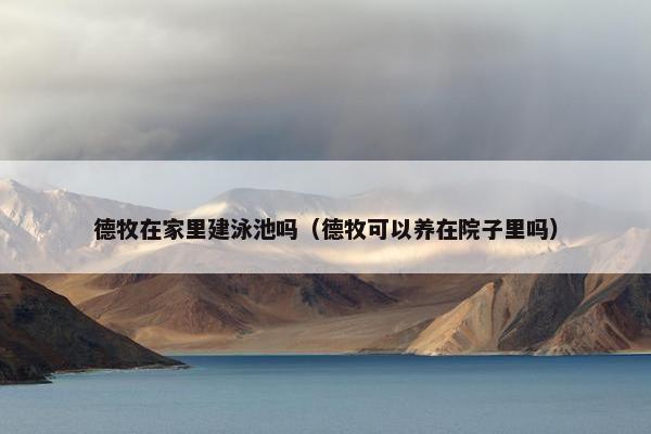 德牧在家里建泳池吗（德牧可以养在院子里吗）