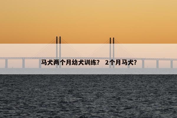 马犬两个月幼犬训练？ 2个月马犬？