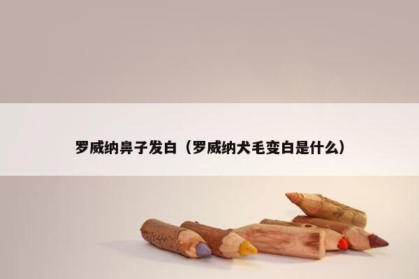 罗威纳鼻子发白（罗威纳犬毛变白是什么）