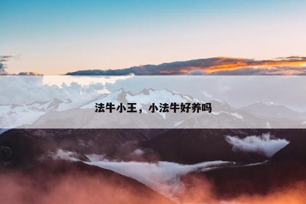 法牛小王，小法牛好养吗