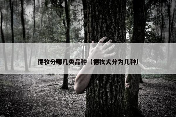 德牧分哪几类品种（德牧犬分为几种）
