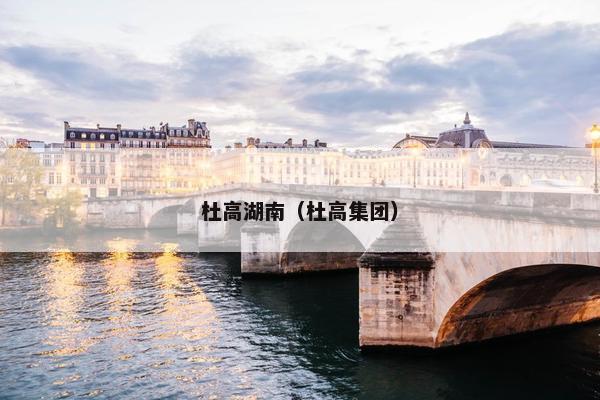 杜高湖南（杜高集团）