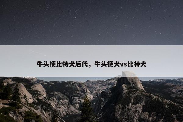 牛头梗比特犬后代，牛头梗犬vs比特犬