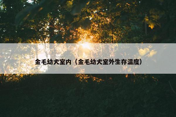 金毛幼犬室内（金毛幼犬室外生存温度）