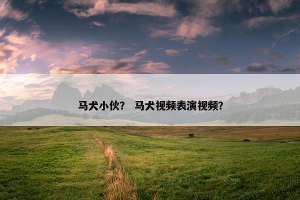 马犬小伙？ 马犬视频表演视频？