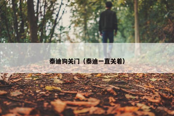 泰迪狗关门（泰迪一直关着）