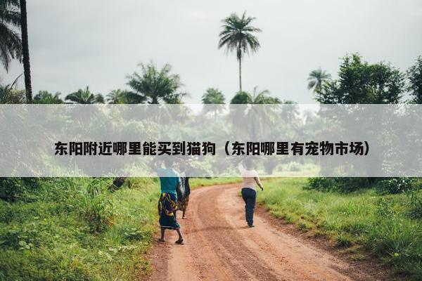东阳附近哪里能买到猫狗（东阳哪里有宠物市场）