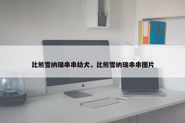 比熊雪纳瑞串串幼犬，比熊雪纳瑞串串图片