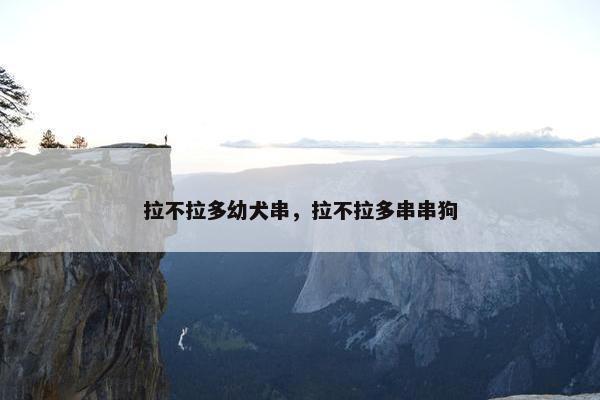 拉不拉多幼犬串，拉不拉多串串狗