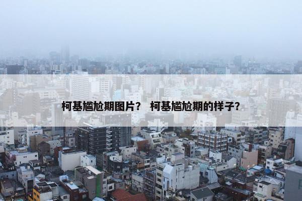 柯基尴尬期图片？ 柯基尴尬期的样子？